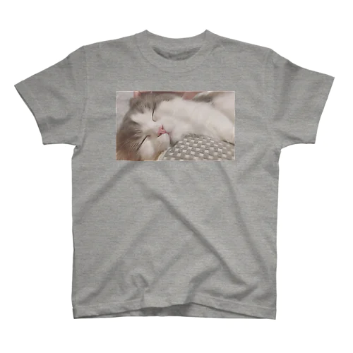 眠ねこ スタンダードTシャツ