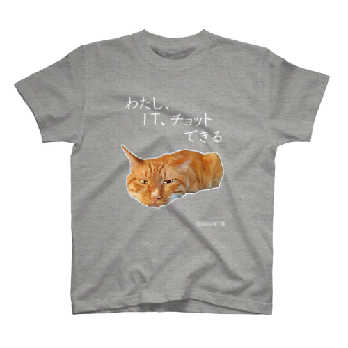 IT系猫 ・わたしITチョットできる / スタンダードTシャツ Regular Fit T-Shirt
