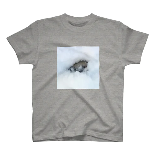【ＨＰ回復に】サロベツのエゾクロテン Regular Fit T-Shirt