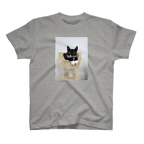 くつしたねこ Regular Fit T-Shirt