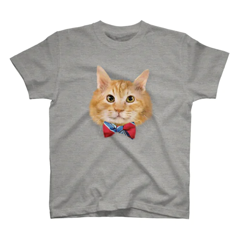 茶色いフワフワ猫 Regular Fit T-Shirt