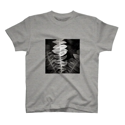 Banksia   Leaf Regular Fit T-Shirt