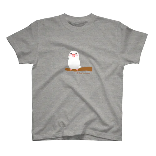 ポチャ白文鳥ちゃん　背景透過版 スタンダードTシャツ