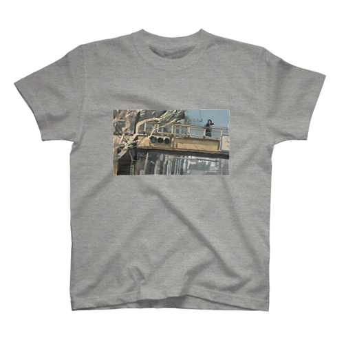 秋空渡る Regular Fit T-Shirt