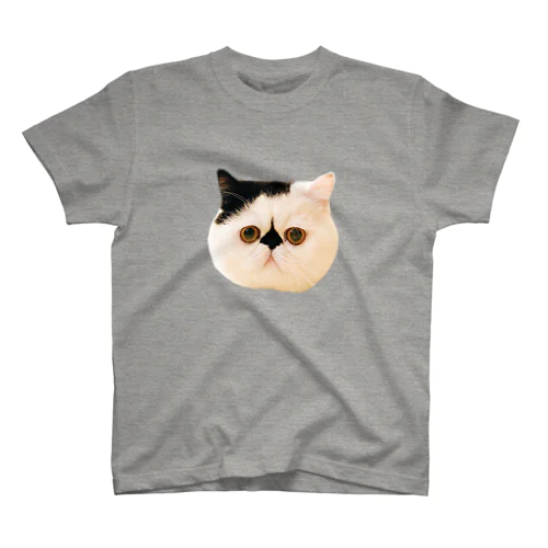 はじめまして、僕はボム、猫です。 スタンダードTシャツ