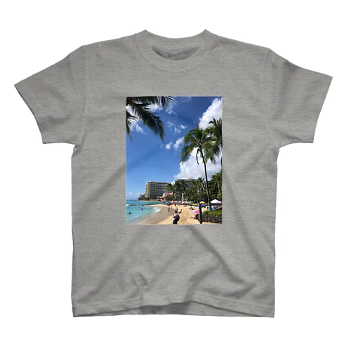 ALOHA Regular Fit T-Shirt