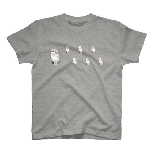 猫のニノ　Big & Small dot Regular Fit T-Shirt