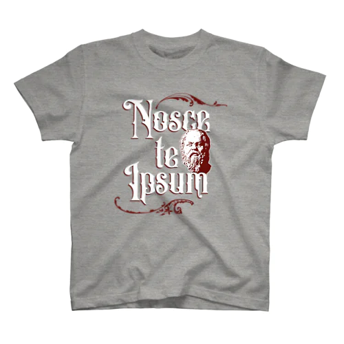 Nosce te Ipsum スタンダードTシャツ