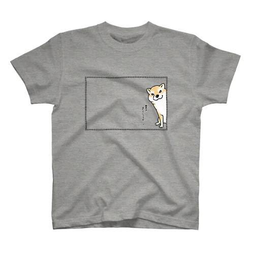 お散歩を催促する柴犬（赤柴） スタンダードTシャツ