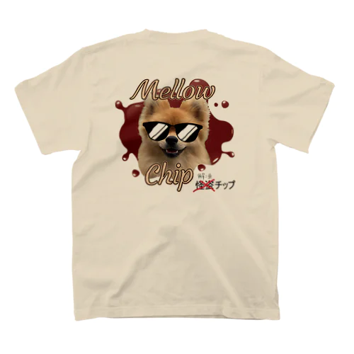 解凍チップ　シリーズ スタンダードTシャツ