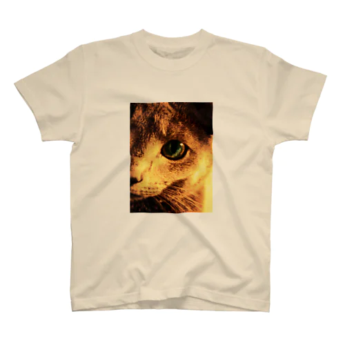 猫の目 スタンダードTシャツ