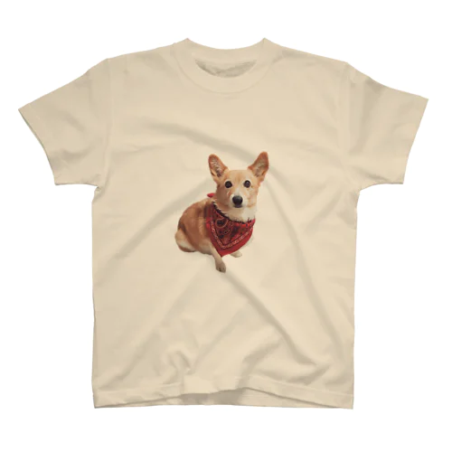 お犬 スタンダードTシャツ