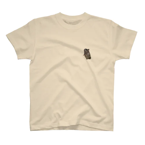 touch Regular Fit T-Shirt