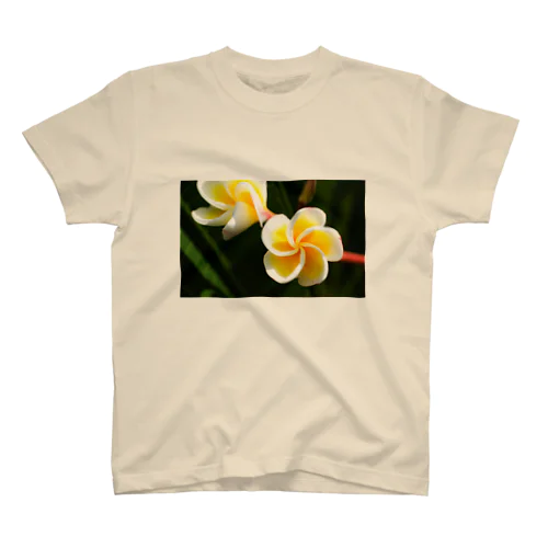 Flower of the Heart　プルメリア Regular Fit T-Shirt