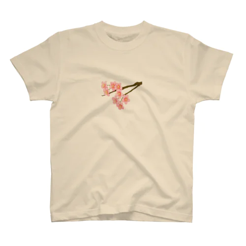桜 スタンダードTシャツ