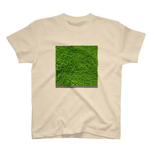 LAWN Regular Fit T-Shirt