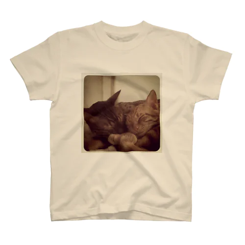 おやすみネコちゃん Regular Fit T-Shirt