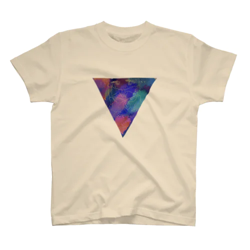△ Regular Fit T-Shirt