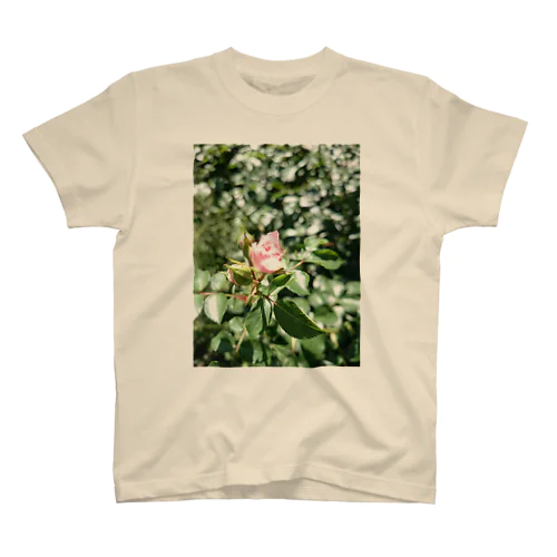 一輪の薔薇 スタンダードTシャツ