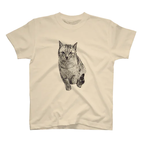 トラ猫シマちゃん Regular Fit T-Shirt