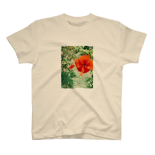 delicate beauty スタンダードTシャツ