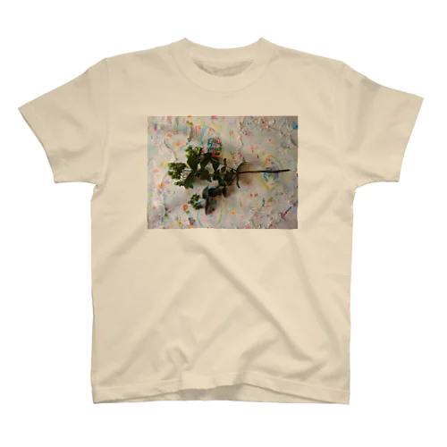 Hipericum スタンダードTシャツ