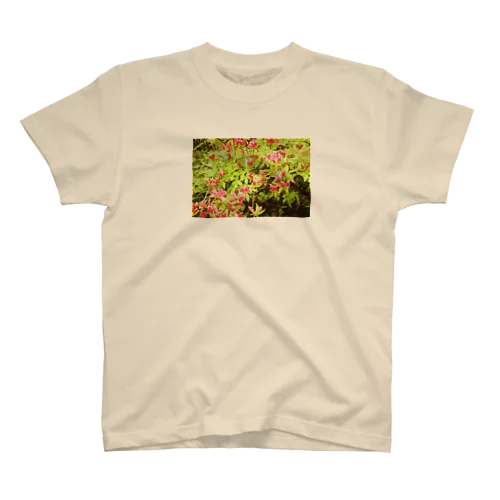 帰り道のお花 スタンダードTシャツ