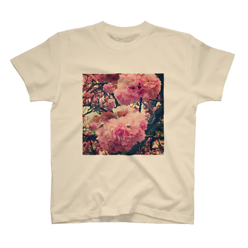 八重桜(レトロ) スタンダードTシャツ