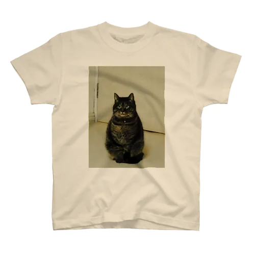 まるねこつくば Regular Fit T-Shirt