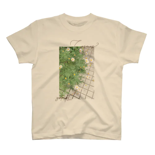 Cosmos? Regular Fit T-Shirt