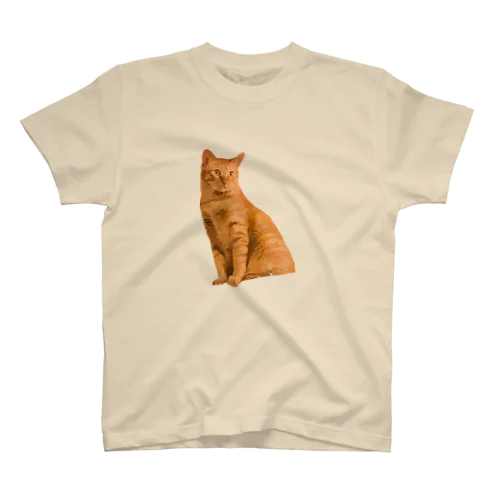 ねこT シンプルな茶トラ Regular Fit T-Shirt