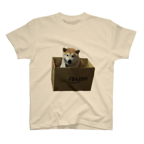 犬が届いた Regular Fit T-Shirt