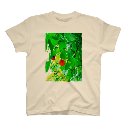 パライソ🌿 スタンダードTシャツ