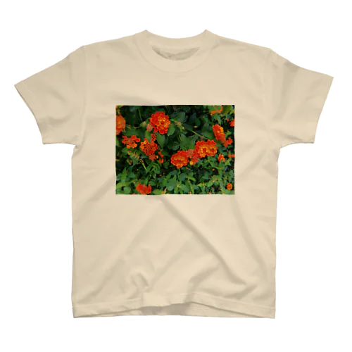 #001 hydrangea スタンダードTシャツ