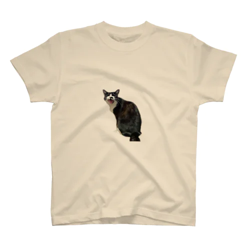 ツヤツヤ猫 Regular Fit T-Shirt