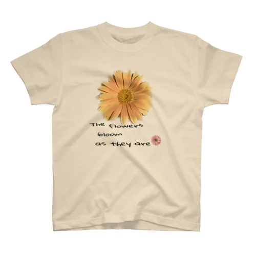 ガーベラちゃん　　花はあるがままに咲く🌼 スタンダードTシャツ