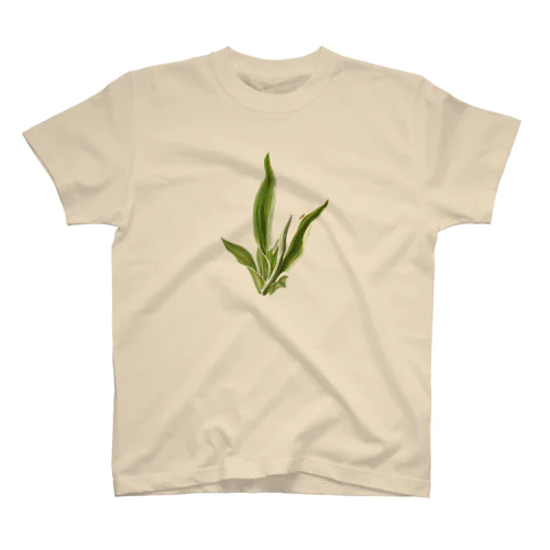 緑/greens スタンダードTシャツ