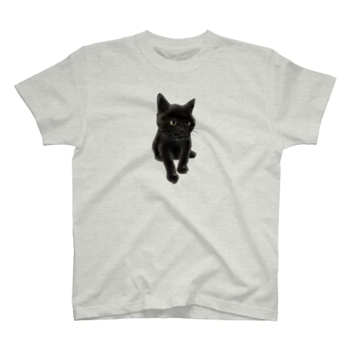 こねこ Regular Fit T-Shirt