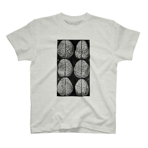 さまざまな脳みそ Regular Fit T-Shirt