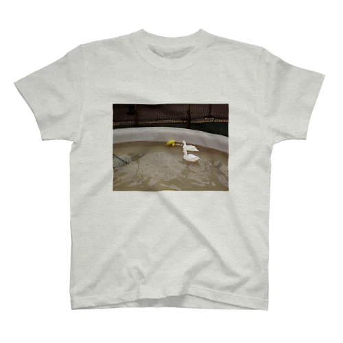 ducks Regular Fit T-Shirt