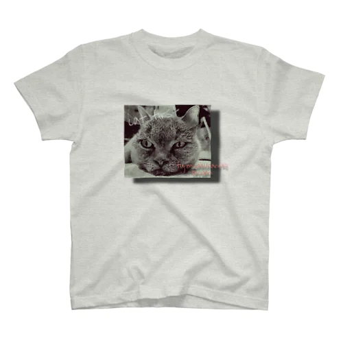 猫ファースト スタンダードTシャツ