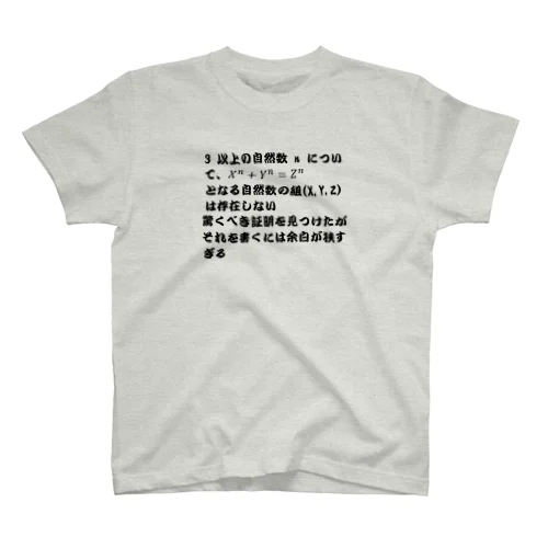フェルマー Regular Fit T-Shirt