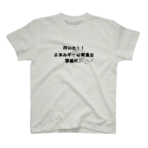 E=MC2 特殊相対性理論 Regular Fit T-Shirt