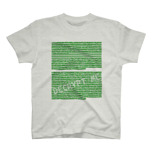 decrypt Regular Fit T-Shirt