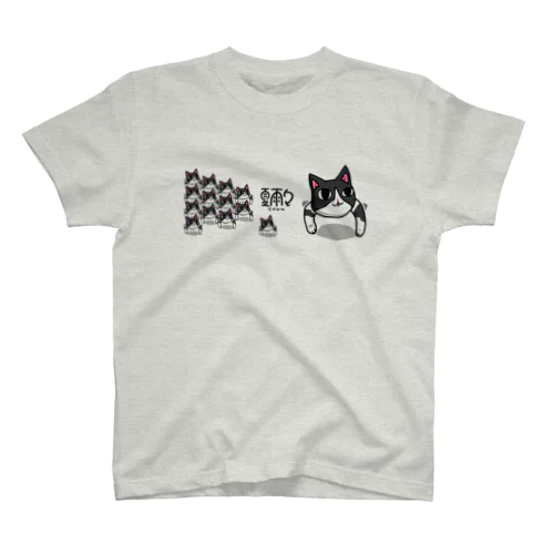 なんだこの猫 スタンダードTシャツ