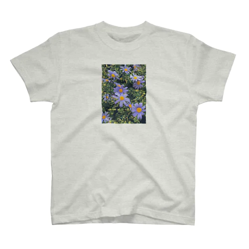 ブルーデージーの花言葉は？ スタンダードTシャツ