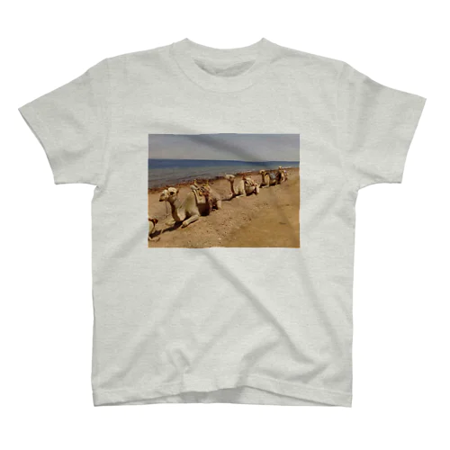 Camel Arrangements Regular Fit T-Shirt