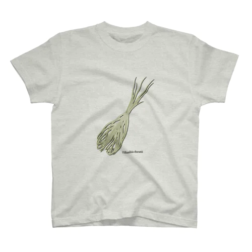 Tillandsia duratii スタンダードTシャツ