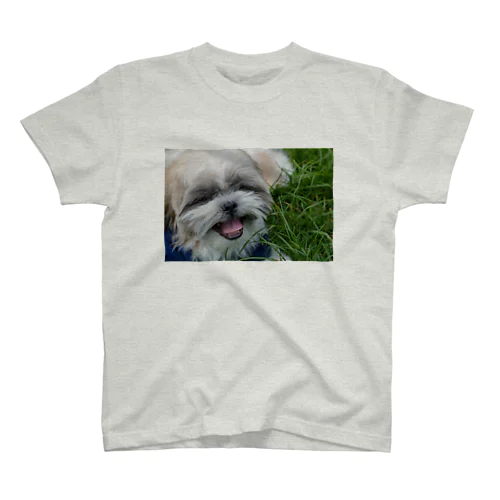 シーズー犬のあぽろん Regular Fit T-Shirt