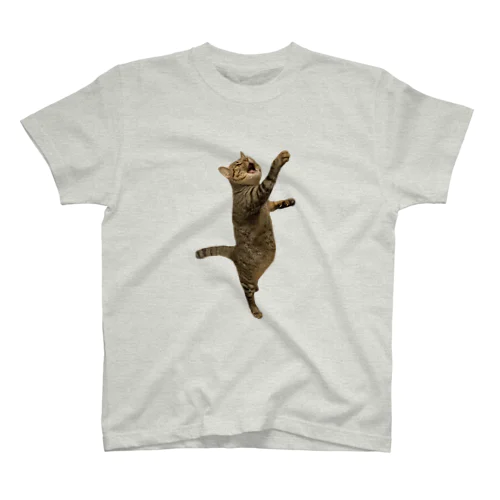 食いしん坊猫の意気込み スタンダードTシャツ